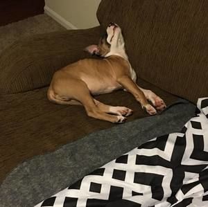 Meet your Posher, Denise